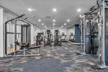 The gym